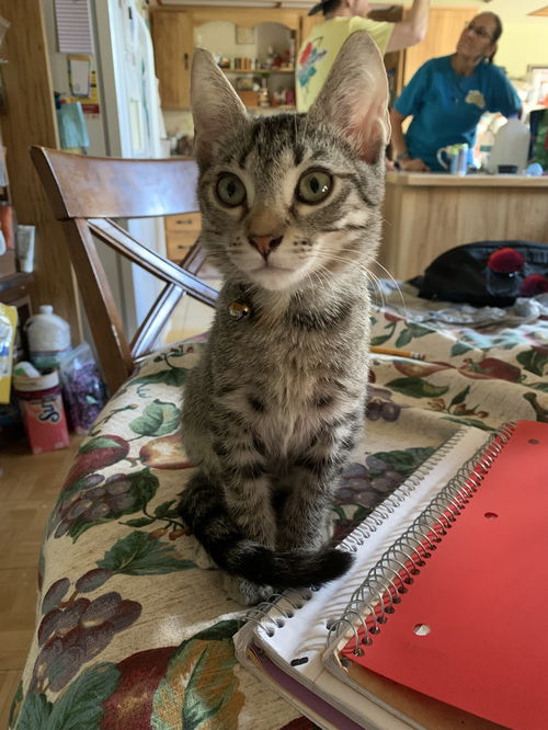 Marbles