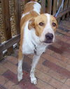 Taxi the Lab