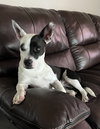 Kaya