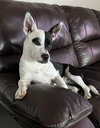 Kaya