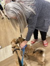 Ralphie *BONDED WITH RANDY*