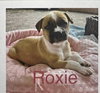 Roxie