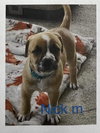 Nick