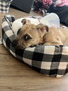 Buster