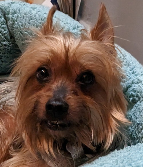 Charlie