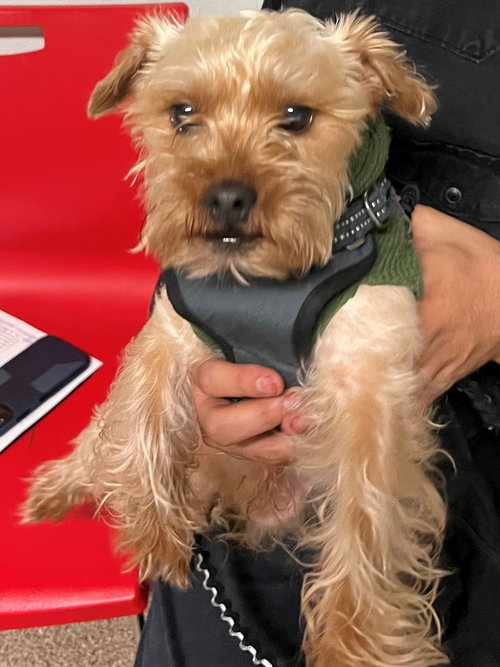 Reggie