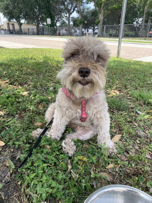 Coco
