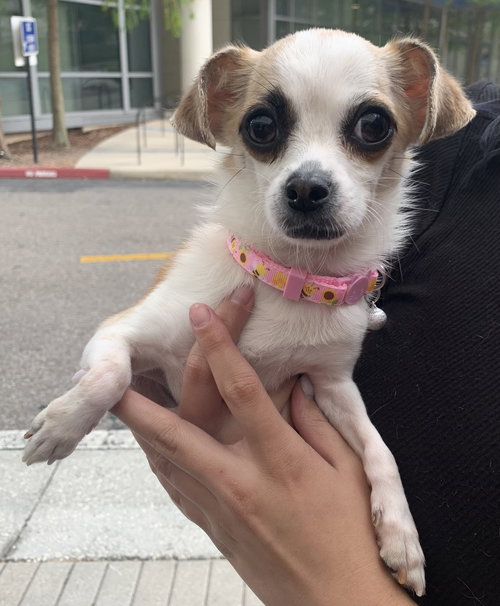 Minnie
