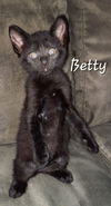 Betty