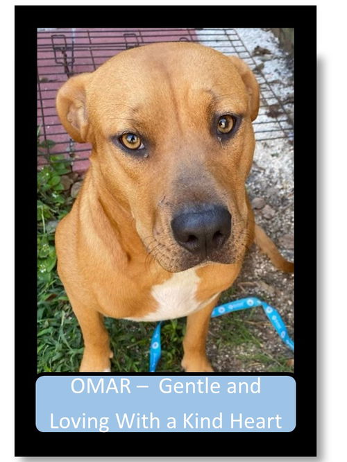 Omar
