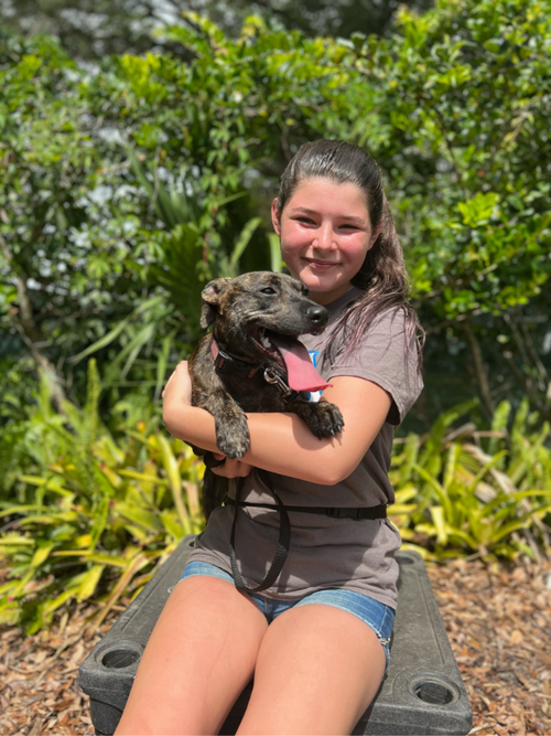 Ruby @ Camp Doglando