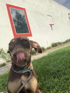 Rubie