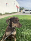 Rubie