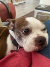 Sprocket