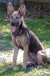 Heidi