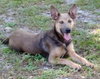Heidi