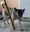 Finley
