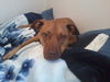 Sasha the Shy Girl