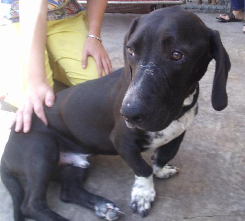 Ralph