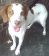 Katie