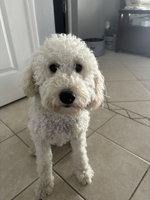 Tucker
