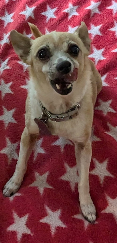 Aurora the Adorable