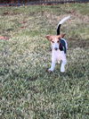 Wallace  *TRAINING CAMP Graduate*
