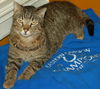Figaro the Sweet, Big Boy (Video)