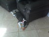 MooMoo the Puppy