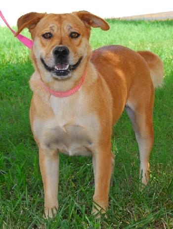 Capri the Friendly Girl