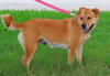 Capri the Friendly Girl