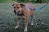 Capri the Friendly Girl