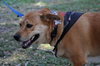 Capri the Friendly Girl