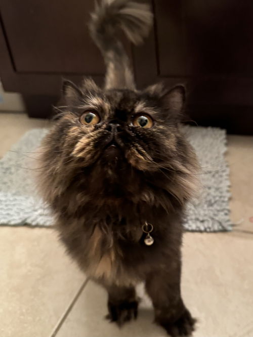 Winnie