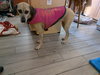 Arya - *FH - Photo 4