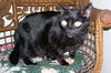 Lenora~The Princess