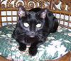 Lenora~The Princess