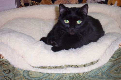 Lenora~The Princess