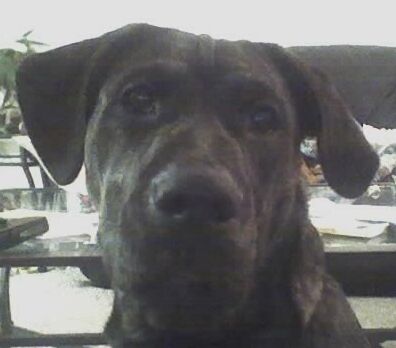Tyson