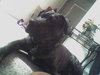 Tyson