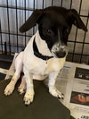 Seven