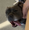 Sasha - Photo 2