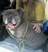Sasha - Photo 17