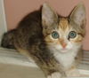 Samantha