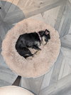Hildy