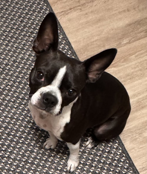 Lola