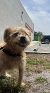 Eli
