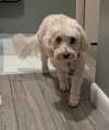 Casper *FH bonded with Mack