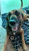 Lady Lucy
