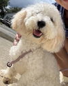 Baxter